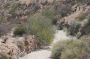 Baja05 - 080 * Looking down into the arroyo we just hiked up